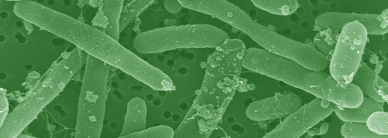 شاخص آلودگی میکروبی در استاندارد ملی آب آشامیدنی